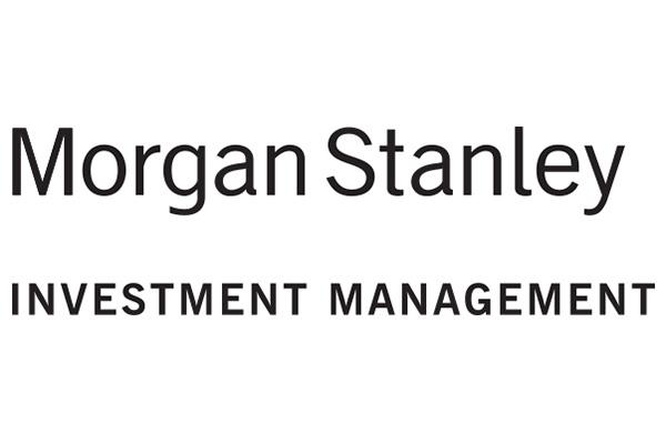 Msim MSIM Fund Management (Ireland) Ltd - Sintesi