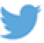 Logo Twitter